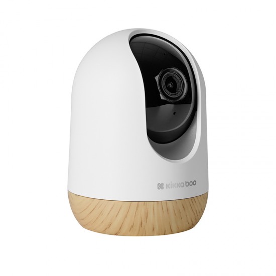 БЕЖИЧНА КАМЕРА ETHAN 